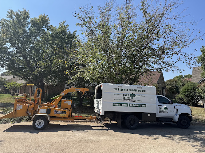 Tree Service Flower Mound in Flower Mound