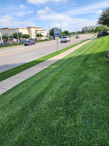 Lone Star Lawns, Arlington, TX in Arlington