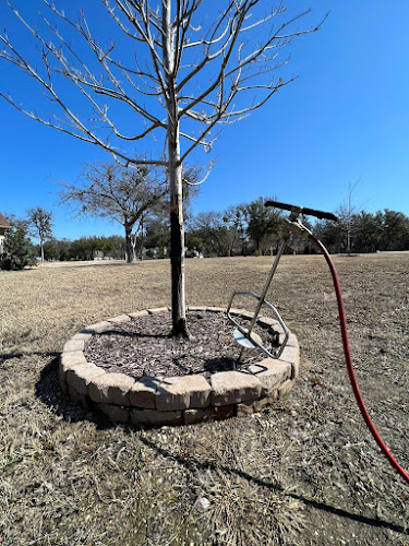 Arborist USA of Burleson in Burleson
