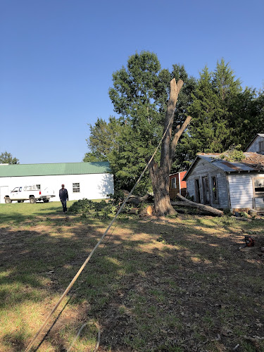 Tip Top Tree Service in Wills Point