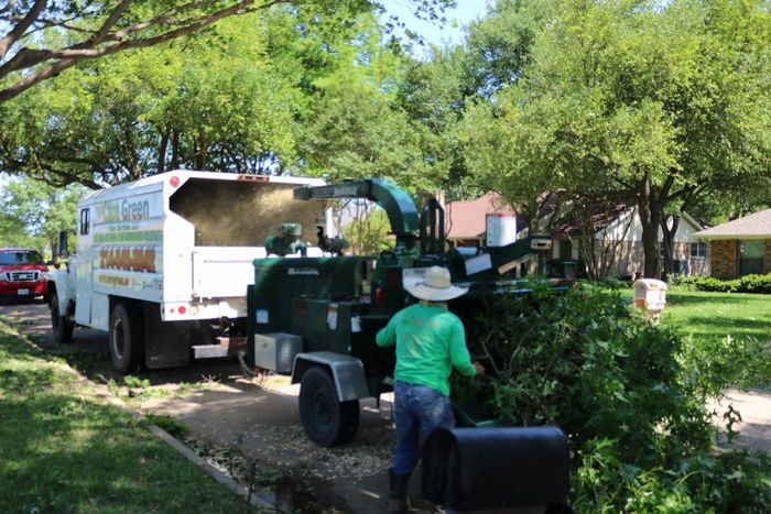 Care Green Tree Service Rowlett in Rowlett