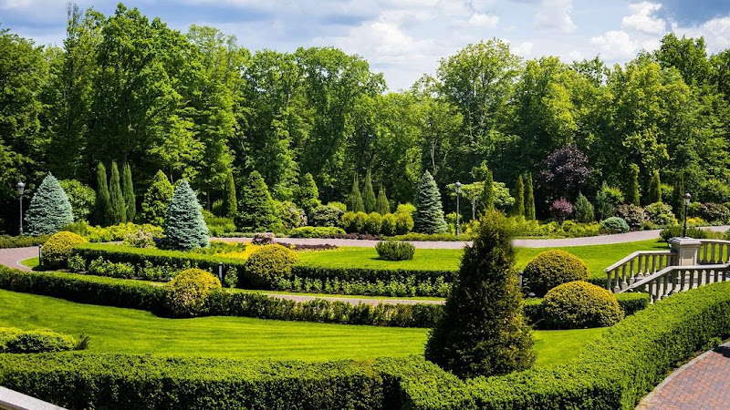 American Landscape Systems in Lewisville