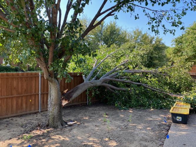 Tree Service Pros of Frisco in Frisco