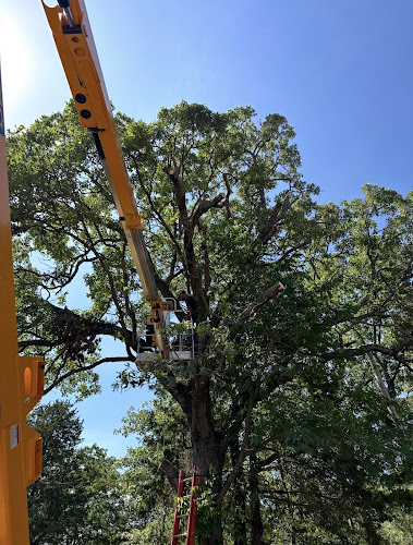 Tree Service Pro in Flower Mound