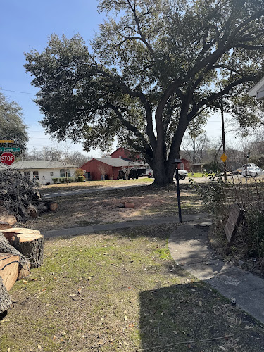 Reyes Tree Service in Garland