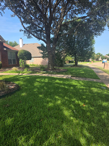 Canopy Lawn Care of North Dallas in Plano
