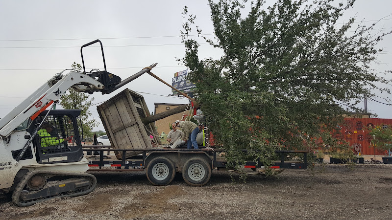 The Tree Place in Fort Worth