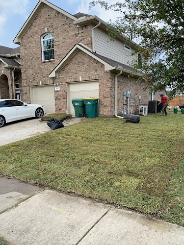 Texas Sod & Drainage pros in DeSoto