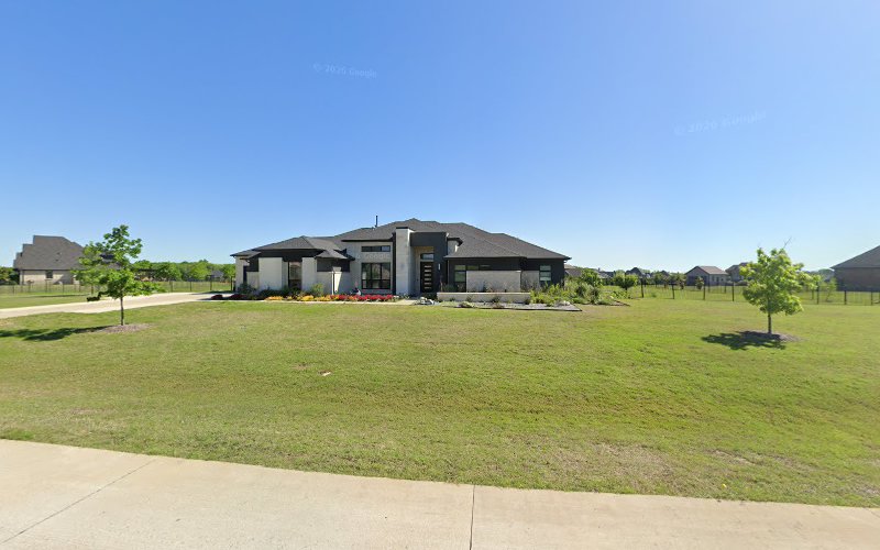 Plano Trees in Allen