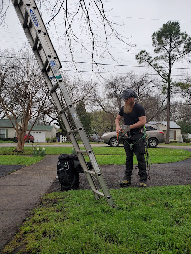 High Reach Tree Service in Granbury