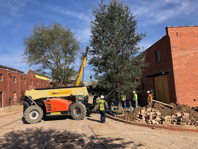 Environmental Design, Inc - Nationwide Large Tree Moving Service in Aledo