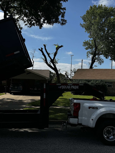 Trophy Tree in Fort Worth