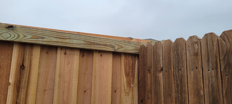Mayflower Fence in Grapevine