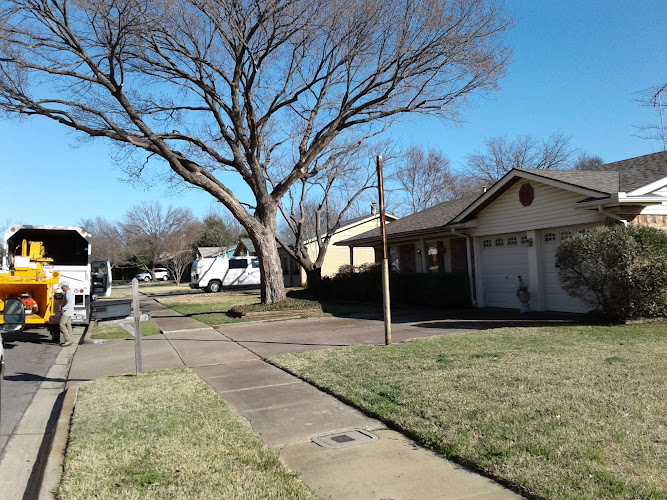 Greenland Tree Services & Landscape in Dallas