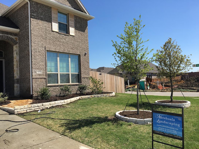 Matehuala Landscaping and irrigation in Celina