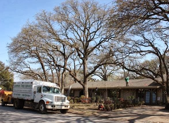 Chippers Tree Service in Grand Prairie