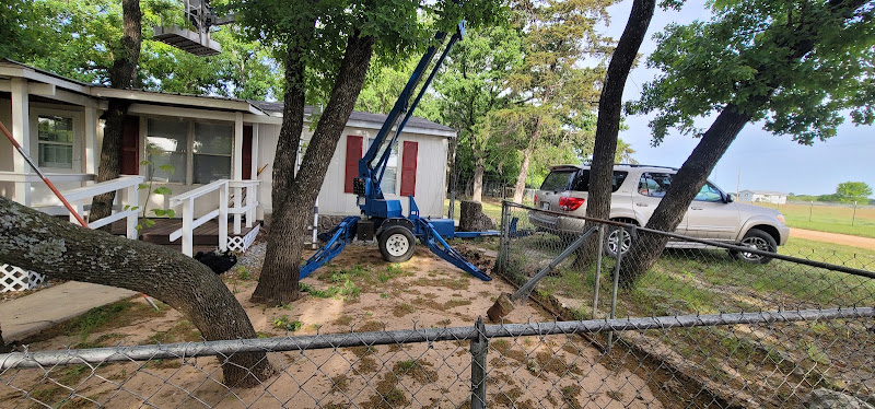 Double T Tree Service in Gainesville
