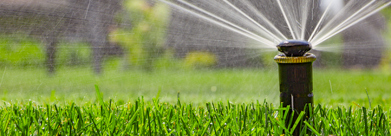 Aquatech in Arlington