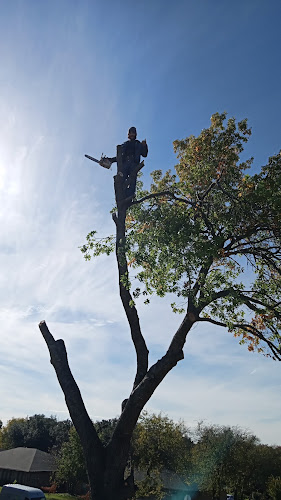 Jr's tree service in Lancaster