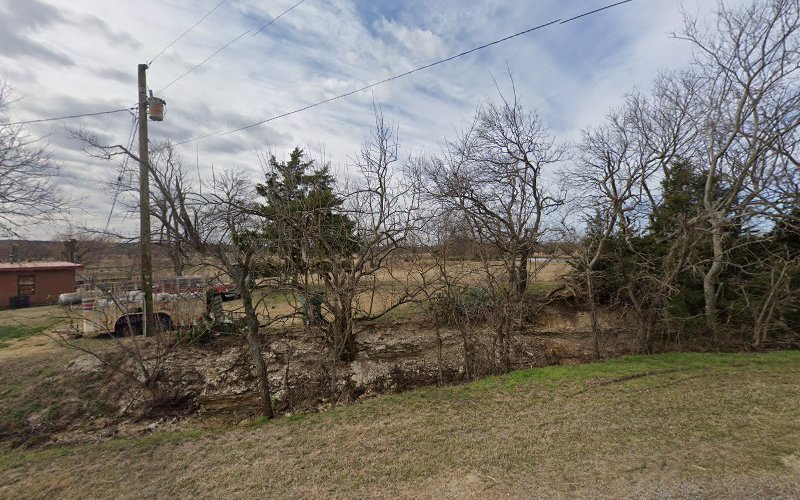 AAA Tree Services in Sherman