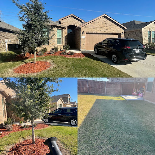 Hawx Pest Control in Grand Prairie
