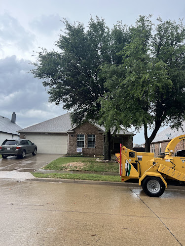 Carlos Tree Service in Plano
