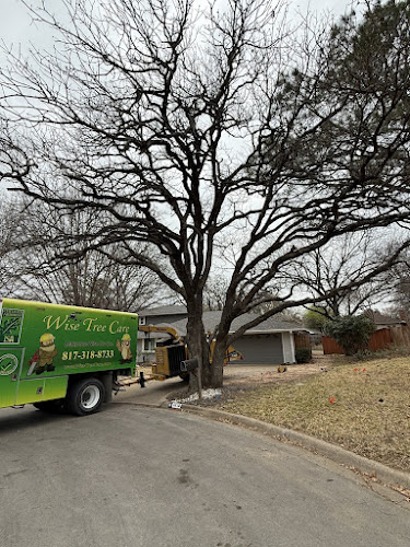Wise Tree Care in Bedford