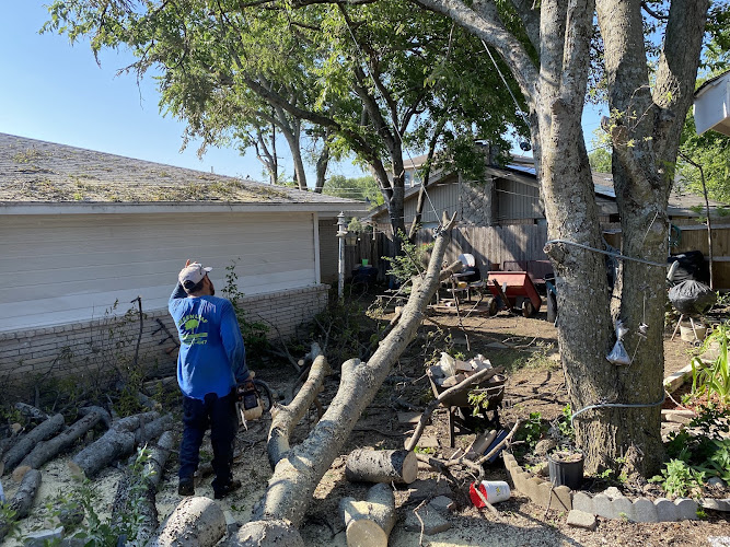 Green Leaf Professional Tree Trimming in Seagoville