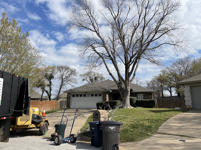 Ramirez Tree Service in Fort Worth