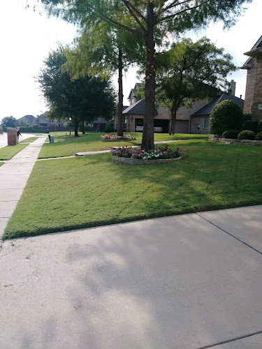 Mendez Lawn&landscape in Wylie