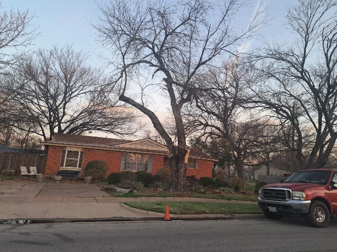 Four Seasons Tree Services in Dallas