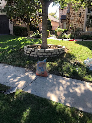 Gomez lawn/Tree in Arlington