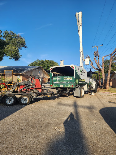 Sal's Landscape & Tree Service in Irving