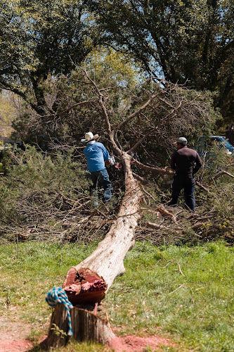 Diaz Lawn and Tree Service, LLC in Mineral Wells