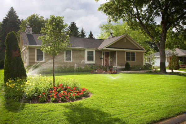 Dallas Landscape and Irrigation Inc. in Dallas