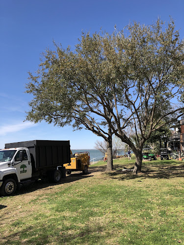 Campos tree service in Mesquite