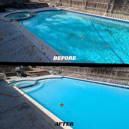 Chihuahua Pool Plaster in Arlington