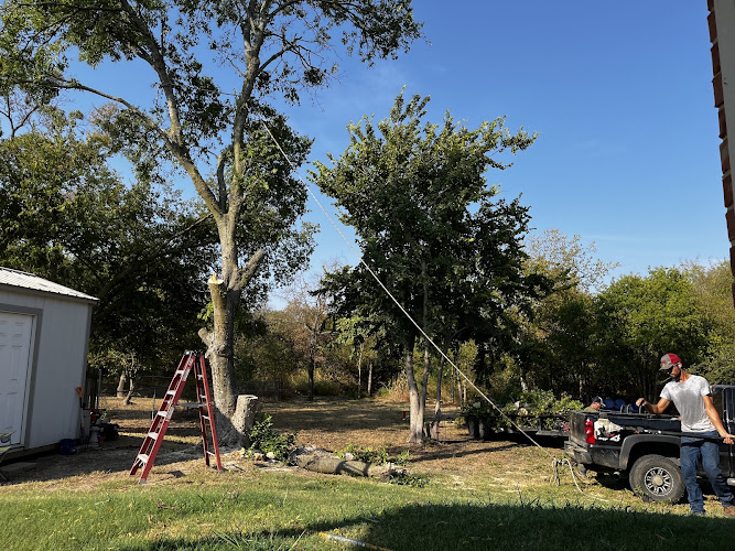 Steve's Tree Service LLC in Weatherford