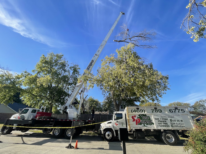 S&P Tree Service in Grand Prairie