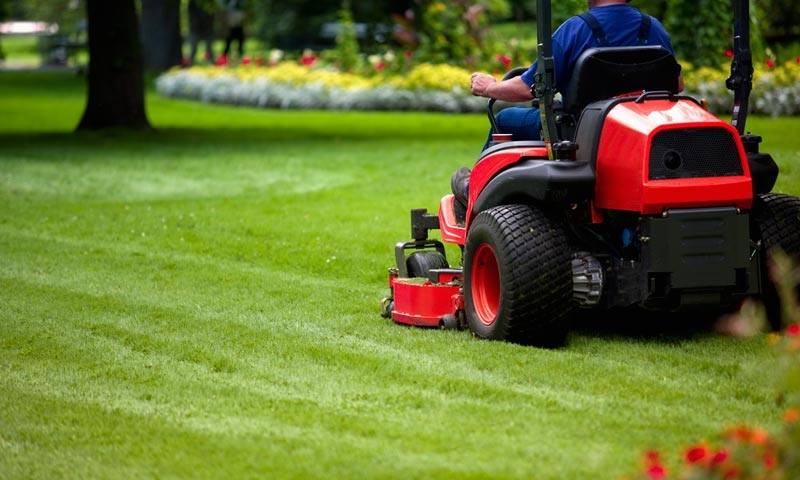 Swift Lawn Services in Wills Point