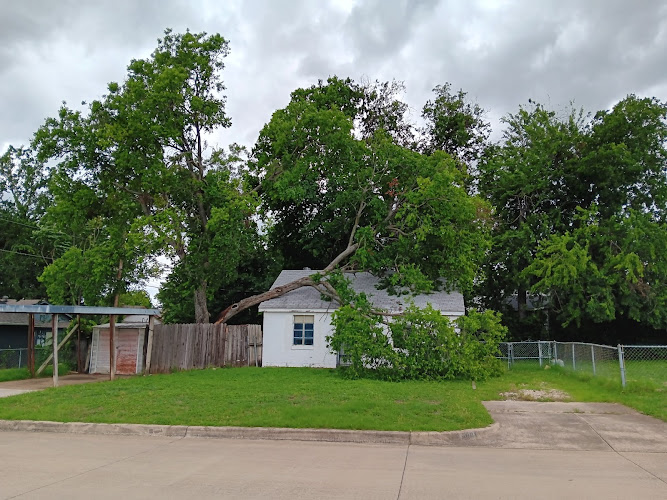 NEON Monkey Tree Services in Fort Worth