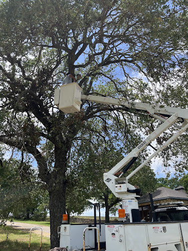 Living Art Tree Care in Fort Worth