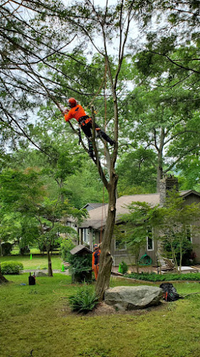 SavATree - Tree Service & Lawn Care in Anna