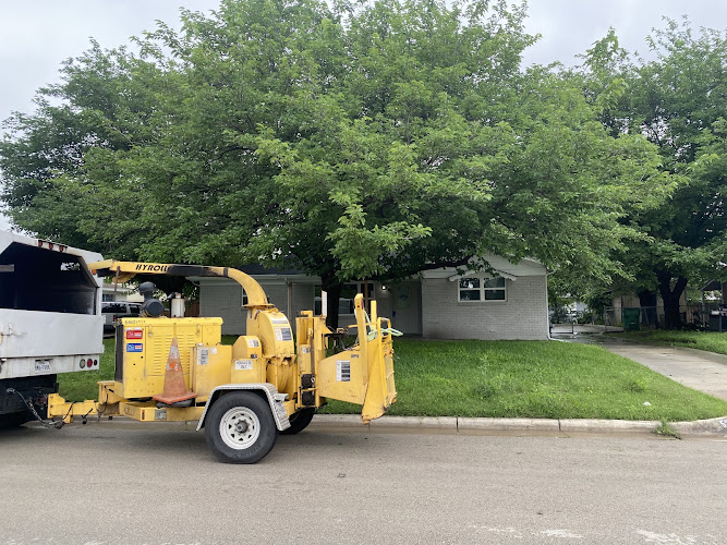 Servando. H Tree Service in Fort Worth