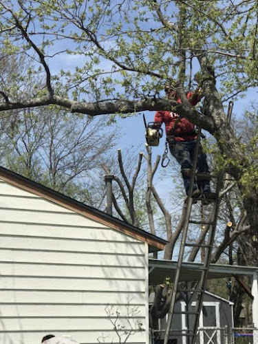 Bowen's Tree Service in Joshua