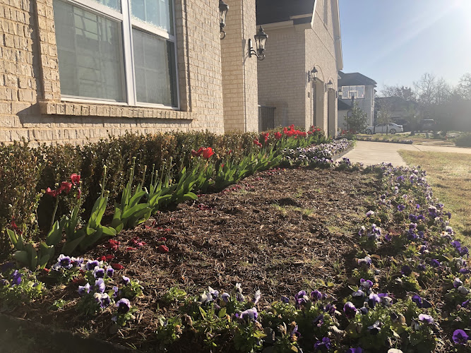 TLC The Landscape Company, LLC in Lewisville