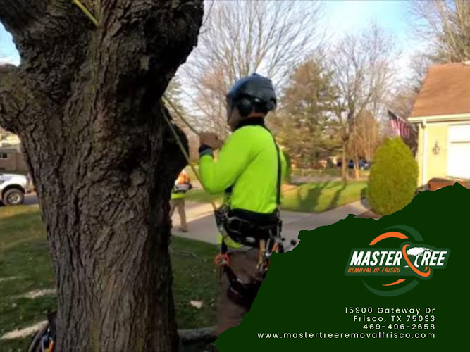 Master Tree Removal of Frisco in Frisco