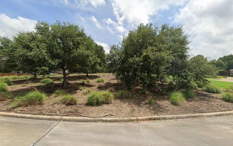 Fertile Foliage in Mesquite
