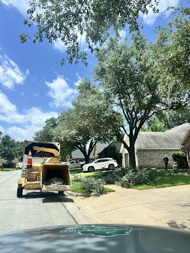 Jose'S Tree Service Co in Irving