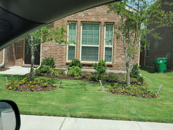 Jurassic Lawn Care in McKinney